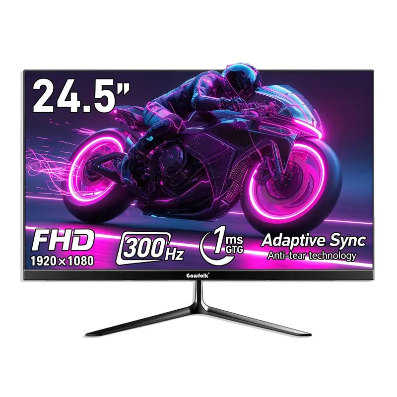 24.5 Inch 300Hz Gaming Monitor