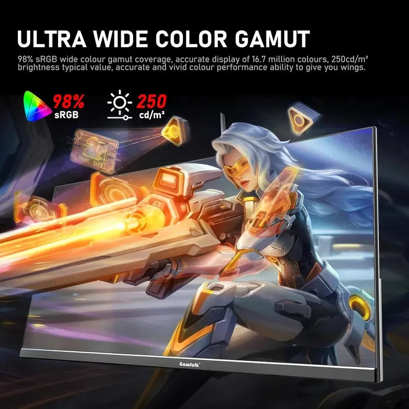 24.5 Inch 300Hz Gaming Monitor