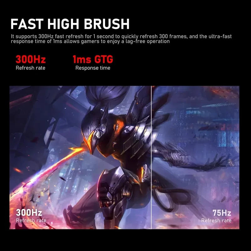 24.5 Inch 300Hz Gaming Monitor