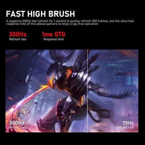 24.5 Inch 300Hz Gaming Monitor